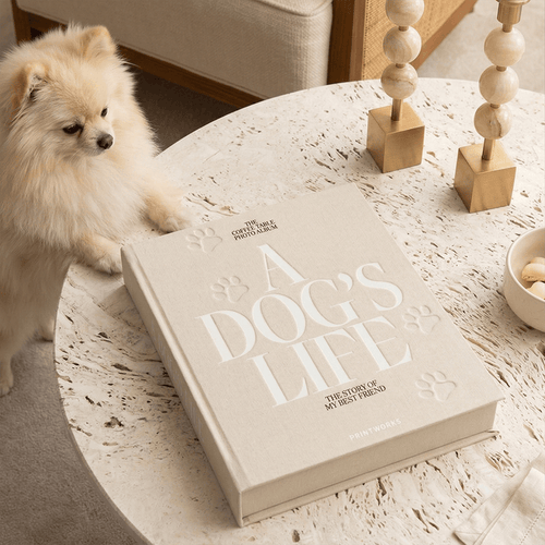'A Dog's Life' Decorative Photo Album Accessories