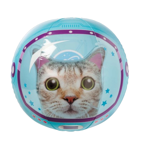 Cat Beach Ball