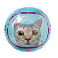 Cat Beach Ball