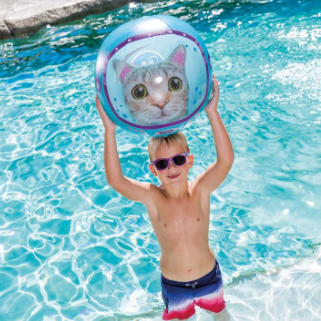 Cat Beach Ball