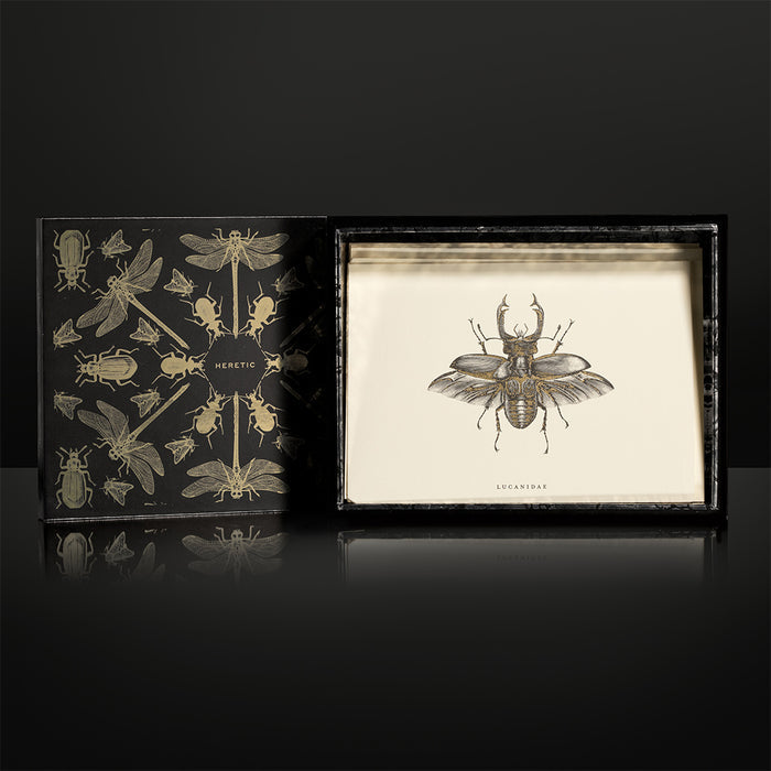Stationary gift set The Entomologist