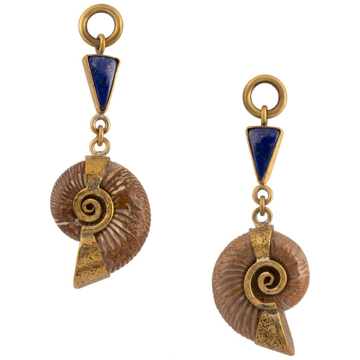 Lapis Madagascar Ammonites