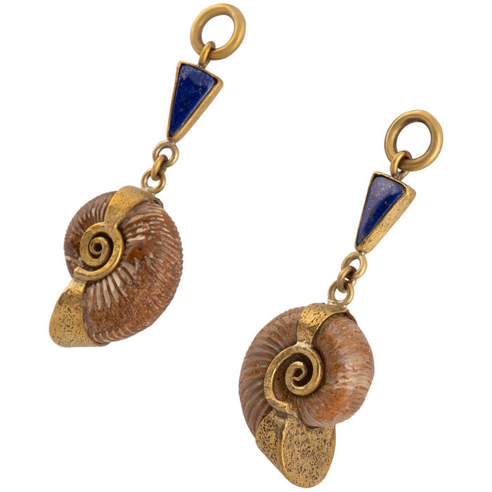 Lapis Madagascar Ammonites