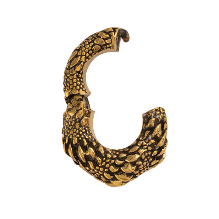 Scale Clasp Hoops