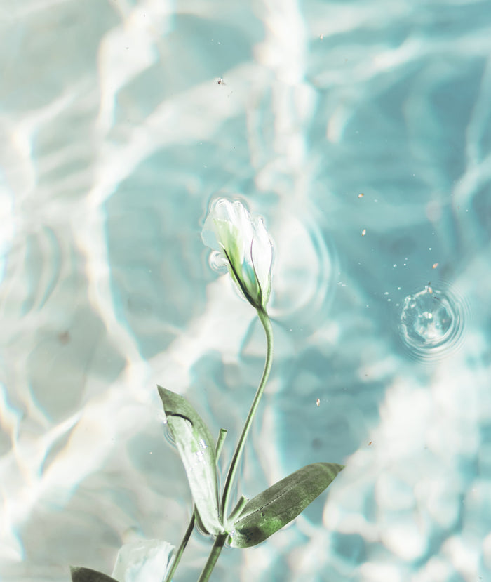 Sel Océan Hair & Body Perfume Mist