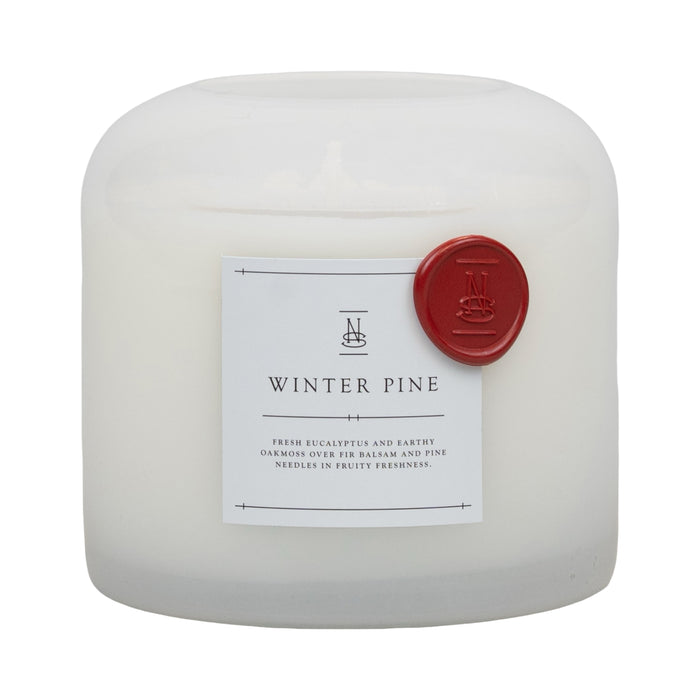 Winter Pine