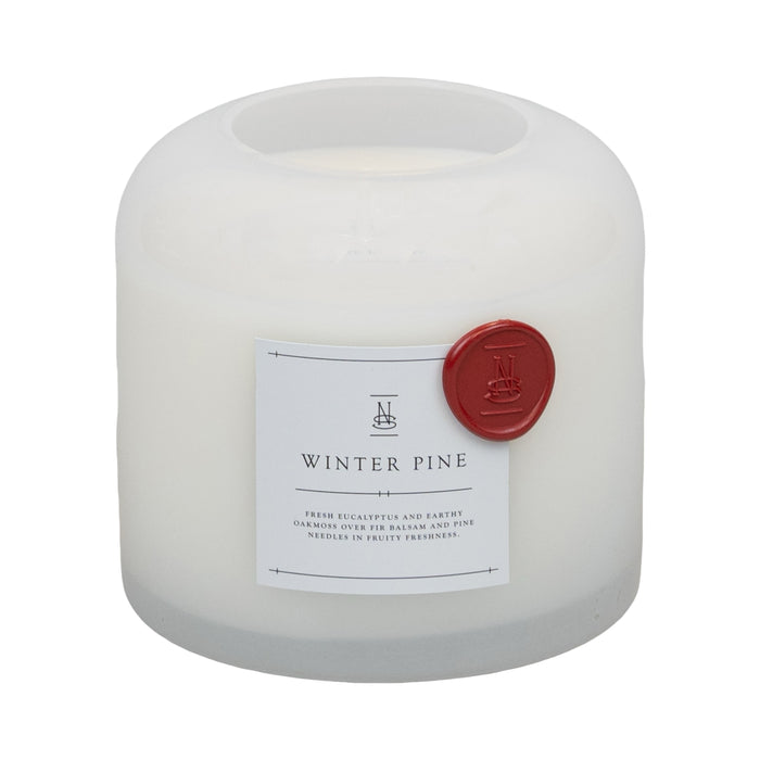 Winter Pine